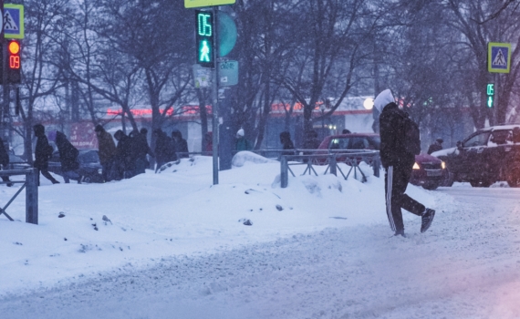 Почему одни кроссовки греют в морозы, а другие промокают в слякоть: секрет в подошве и стельке