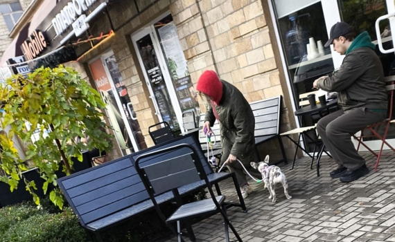 Не просто ботиночки: как выбрать обувь для собаки — чтобы было удобно и без соблазна сбежать от вас Не просто ботиночки: как выбрать обувь для собаки — чтобы было удобно и без соблазна сбежать от вас