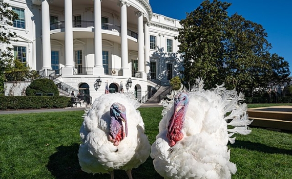 Дудаков: Отставка Ноэм - унизительная уступка демократам Дудаков: Отставка Ноэм - унизительная уступка демократам