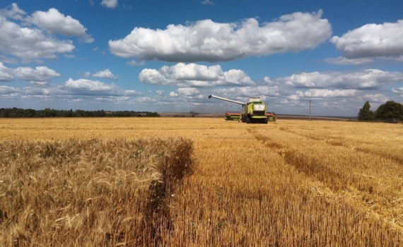 Обозреватель Колясников оценил актуальные последствия блокады Ормузского пролива Обозреватель Колясников оценил актуальные последствия блокады Ормузского пролива